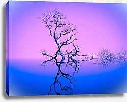 Постер Дерево на розовом фоне с отражением в голубой воде