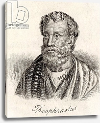 Постер Кук Д. В. Theophrastus