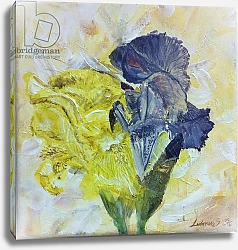 Постер Спейтан Любна (совр) Iris', flowers,, painting
