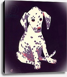 Постер Адамсон Джордж (совр) Dalmation Puppy, 1950s
