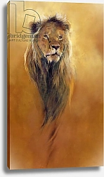 Постер Кидд Одиль (совр) King Leo, 2000