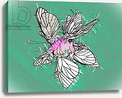 Постер Бернат Сильвер (совр) Beautiful Butterfly, 2019