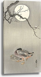Постер Косон Охара Ducks at full moon