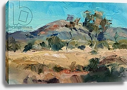 Постер Роберт Боулз Чарльз (совр) Pilbara Hills