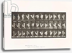 Постер Муйбридж Идвеард Plate 192. Dancing, 1885