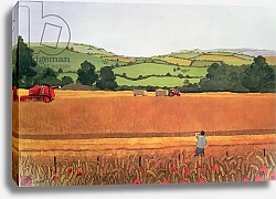 Постер Рове Мэгги (совр) Harvesting in the Cotswolds
