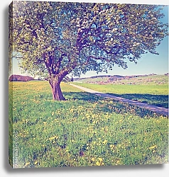 Постер Швейцария. Цветущее дерево на лугу