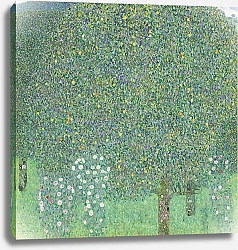 Постер Климт Густав (Gustav Klimt) Розы под деревьями