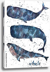 Постер Набор акварельных китов