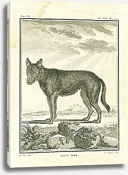 Постер Loup Noir 1