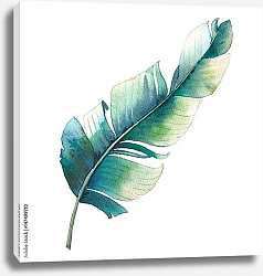 Постер Акварельный одиночный тропический лист.