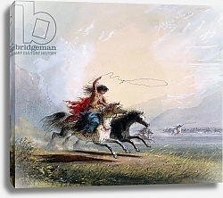 Постер Миллер Якоб Альфред Shoshone woman catching a horse, 1837