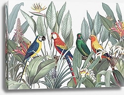 Постер Красочные попугаи на тропическим фоне