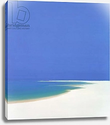 Постер Миллер Джон (совр) Sandspur in Summer, 2000
