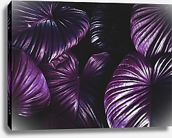 Постер Фиолетовые листья