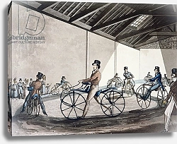 Постер Олкен Генри (охота) Johnson's Pedestrian Hobbyhorse Riding School, 1819