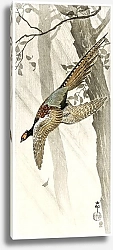 Постер Летящий фазан (1900 - 1910)