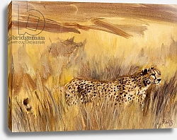 Постер Сандерс Франческа (совр) cheetah in grass 2, 2013