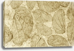 Постер Отпечатки листьев на старой бумаге