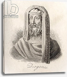 Постер Кук Д. В. Diogenes of Sinope