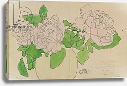 Постер Риппл-Ронай Йозеф Chrysanthemums, c.1900