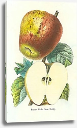 Постер Pomme Belle-fleur-Dachy 1