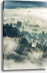 Постер Леса и поля с фермами в густом тумане