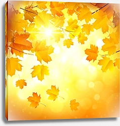 Постер Осенние листья 6