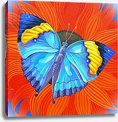 Постер Таттерсфильд Джейн (совр) Indian Leaf Butterfly, 2014,