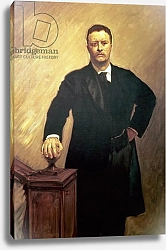 Постер Серджент Джон Portrait of Theodore Roosevelt