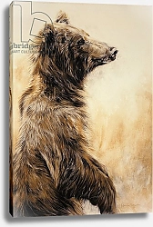 Постер Кидд Одиль (совр) Grizzly Bear 2, 2002