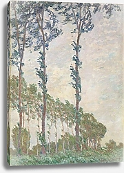 Постер Моне Клод (Claude Monet) Тополя в ветренную погоду