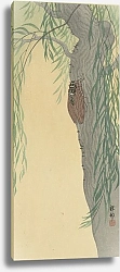 Постер Косон Охара Cicada on tree