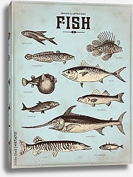 Постер Ретро плакат с видами рыб 2
