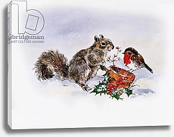 Постер Мэттьюз Диана (совр) The Squirrel and the Robin