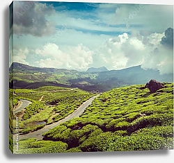 Постер Чайные плантации в Индии 4