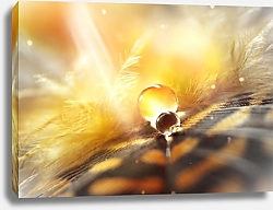 Постер Капли росы на золотистом пере в лучах солнца