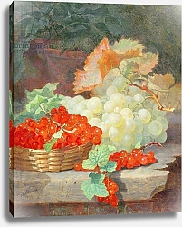 Постер Стэннард Элоиза Redcurrants and Grapes, 1864