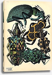 Постер Insects by E. A. Seguy №6
