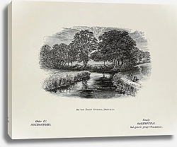Постер On the Trout Stream, Driffield
