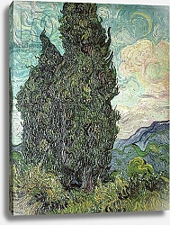 Постер Ван Гог Винсент (Vincent Van Gogh) Cypresses, 1889