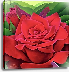 Постер Сим Миунг-Бо (совр) The Rose, 2003