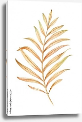 Постер Сушеный тропический лист