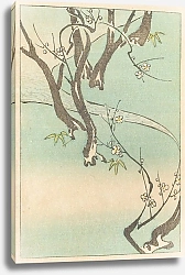 Постер Синдзабуро Никаясу Shin zuan, Pl.06