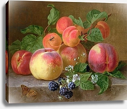 Постер Роннер-Нип Генриетта Still Life of Peaches