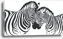 Постер Две зебры на белом