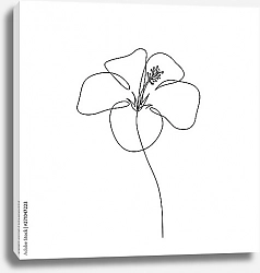 Постер Цветок гибискуса из линий