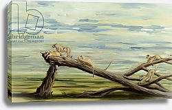 Постер Сандерс Франческа (совр) lions on tree, 2014,