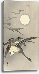 Постер Косон Охара Geese at full moon