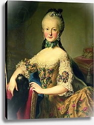 Постер Мейтенс Мартин Archduchess Maria Elisabeth Habsburg-Lothringen